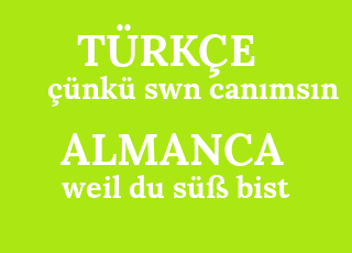%C3%A7%C3%BCnk%C3%BC+swn+can%C4%B1ms%C4%B1n-weil+du+s%C3%BC%C3%9F+bist.png