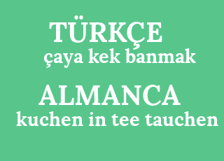 %C3%A7aya+kek+banmak-kuchen+in+tee+tauchen.png