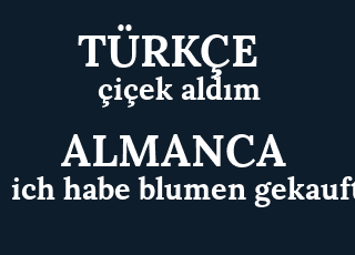 %C3%A7i%C3%A7ek+ald%C4%B1m-ich+habe+blumen+gekauft.png
