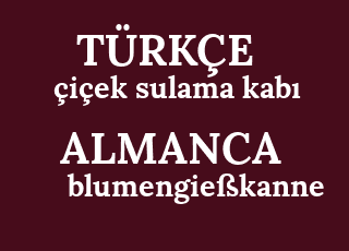 %C3%A7i%C3%A7ek+sulama+kab%C4%B1-blumengie%C3%9Fkanne.png