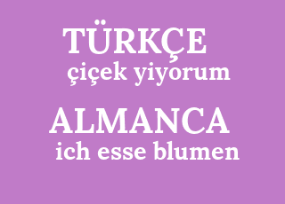 %C3%A7i%C3%A7ek+yiyorum-ich+esse+blumen.png