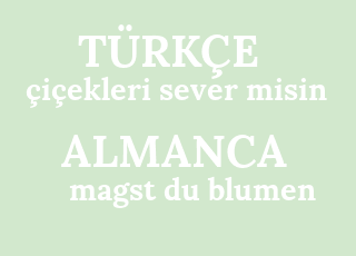 %C3%A7i%C3%A7ekekleri+sever+misin-magst+du+blumen.png