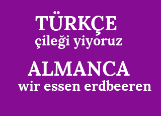 %C3%A7ile%C4%9Fi+yiyoruz-wir+essen+erdbeeren.png
