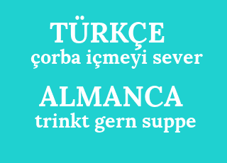 %C3%A7orba+i%C3%A7meyi+sever-trinkt+gern+suppe.png