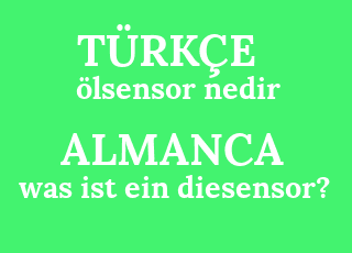 %C3%B6lsensor+nedir-was+ist+ein+diesensor%3F.png