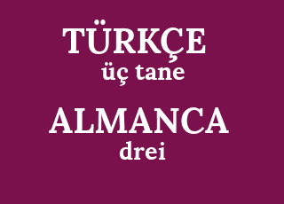 %C3%BC%C3%A7+tane-drei.png
