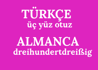 %C3%BC%C3%A7+y%C3%BCz+otuz-dreihundertdrei%C3%9Fig.png