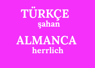 %C5%9Fahan-herrlich.png