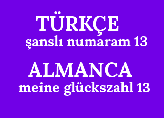 %C5%9Fansl%C4%B1+numaram+13-meine+gl%C3%BCckszahl+13.png