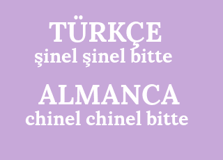 %C5%9Finel+%C5%9Finel+bitte-chinel+chinel+bitte.png