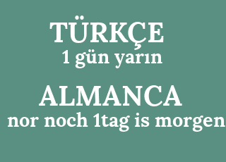 1+g%C3%BCn+yar%C4%B1n-nor+noch+1tag+is+morgen.png