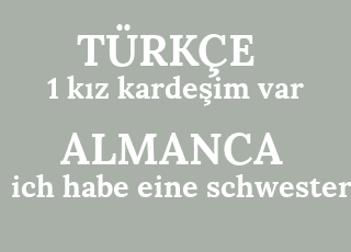 1+k%C4%B1z+karde%C5%9Fim+var-ich+habe+eine+schwester.png