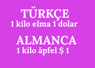 1+kilo+elma+1+dolar-1+kilo+%C3%A4pfel+%24+1.png