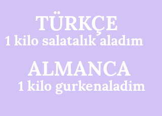 1+kilo+salatal%C4%B1k+alad%C4%B1m-1+kilo+gurkenaladim.png