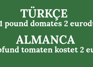 1+pound+domates+2+eurodur-1+pfund+tomaten+kostet+2+euro.png
