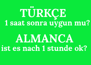 1+saat+sonra+uygun+mu%3F-ist+es+nach+1+stunde+ok%3F.png