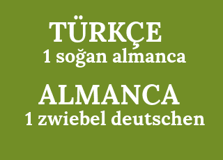 1+so%C4%9Fan+almanca-1+zwiebel+deutschen.png