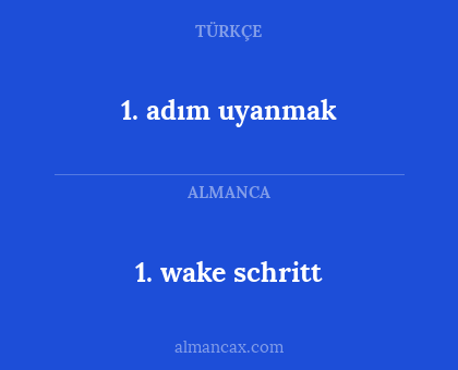 1. adım uyanmak - 1. wake schritt