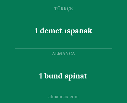 1 demet ıspanak - 1 bund spinat