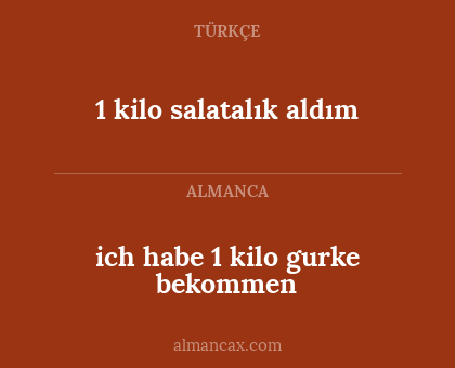 ich habe 1 kilo gurke bekommen - 1 kilo salatalık aldım