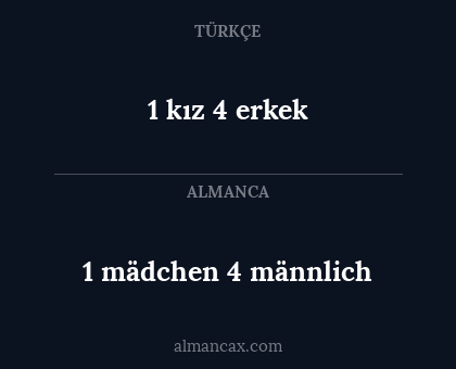 1 mädchen 4 männlich - 1 kız 4 erkek
