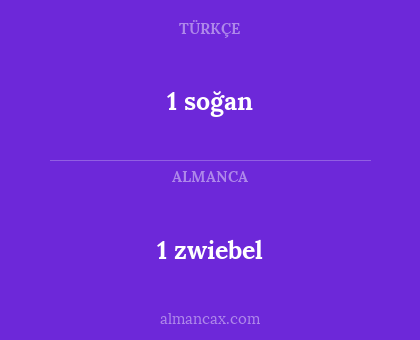 1 soğan - 1 zwiebel