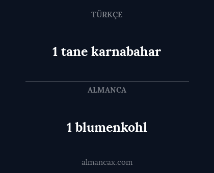 1 blumenkohl - 1 tane karnabahar