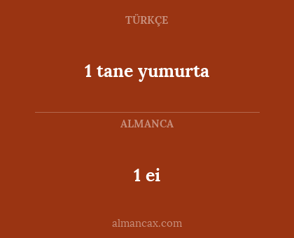 1 tane yumurta - 1 ei