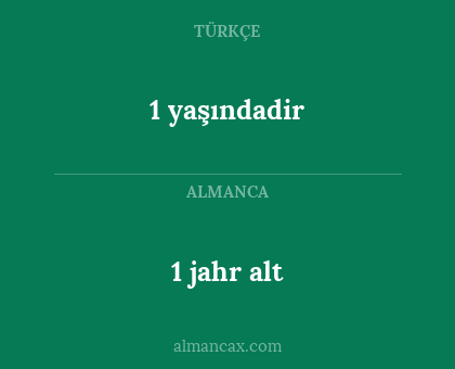 1 jahr alt - 1 yaşındadir
