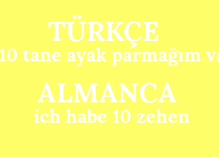 10+tane+ayak+parma%C4%9F%C4%B1m+var-ich+habe+10+zehen.png