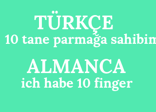 10+tane+parma%C4%9Fa+sahibim-ich+habe+10+finger.png