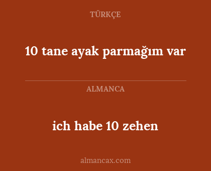 ich habe 10 zehen - 10 tane ayak parmağım var
