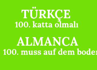 100.+katta+olmal%C4%B1-100.+muss+auf+dem+boden.png
