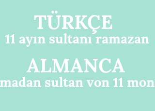 11+ay%C4%B1n+sultan%C4%B1+ramazan-ramadan+sultan+von+11+monaten.png