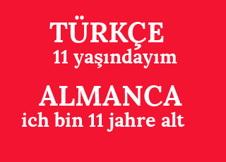 11+ya%C5%9F%C4%B1nday%C4%B1m-ich+bin+11+jahre+alt.png