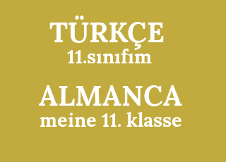 11.s%C4%B1n%C4%B1f%C4%B1m-meine+11.+klasse.png