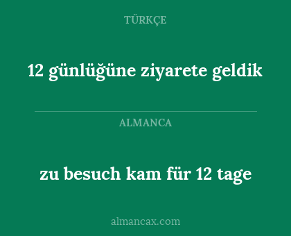 12 günlüğüne ziyarete geldik - zu besuch kam für 12 tage