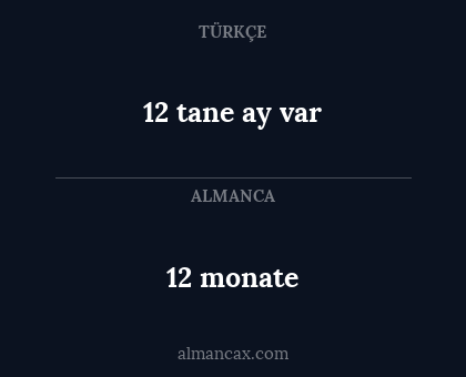 12 monate - 12 tane ay var