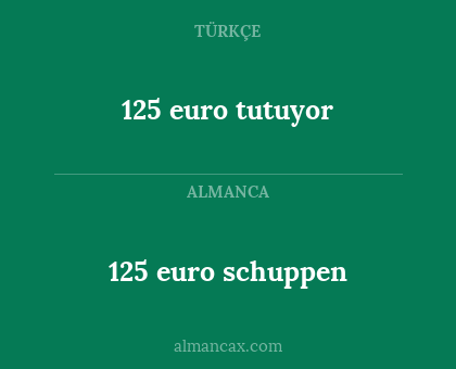 125 euro schuppen - 125 euro tutuyor