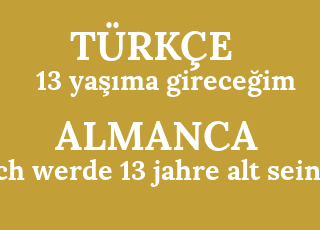 13+ya%C5%9F%C4%B1ma+girece%C4%9Fim-ich+werde+13+jahre+alt+sein.png