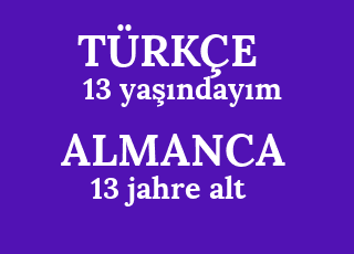 13+ya%C5%9F%C4%B1nday%C4%B1m-13+jahre+alt.png