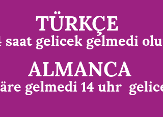 14+saat+gelicek+gelmedi+olur-w%C3%A4re+gelmedi+14+uhr++gelicek.png