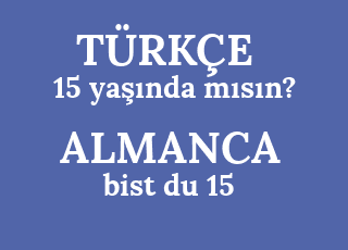15+ya%C5%9F%C4%B1nda+m%C4%B1s%C4%B1n%3F-bist+du+15.png