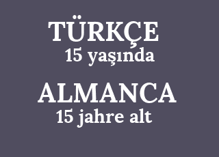 15+ya%C5%9F%C4%B1nda-15+jahre+alt.png