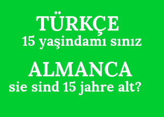 15+ya%C5%9Findam%C4%B1+s%C4%B1n%C4%B1z-sie+sind+15+jahre+alt%3F.png