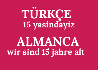 15+yasindayiz-wir+sind+15+jahre+alt.png