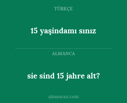sie sind 15 jahre alt? - 15 yaşindamı sınız