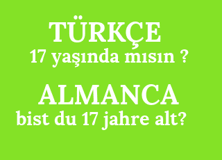 17+ya%C5%9F%C4%B1nda+m%C4%B1s%C4%B1n+%3F-bist+du+17+jahre+alt%3F.png