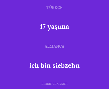 ich bin siebzehn - 17 yaşıma