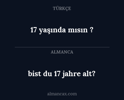 17 yaşında mısın ? - bist du 17 jahre alt?